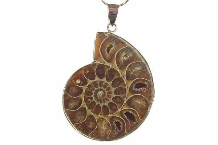 Fossil Ammonite Pendant - Million Years Old #284889